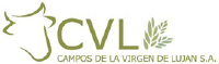 cvl