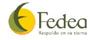 fedea