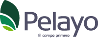 pelayo